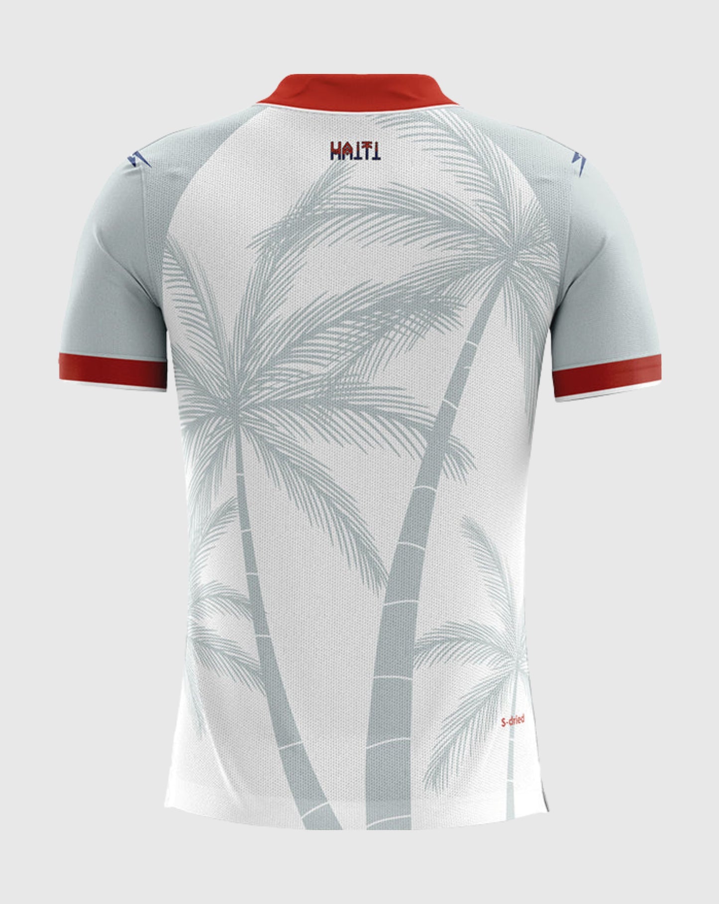 Playera Haiti Visita 2026