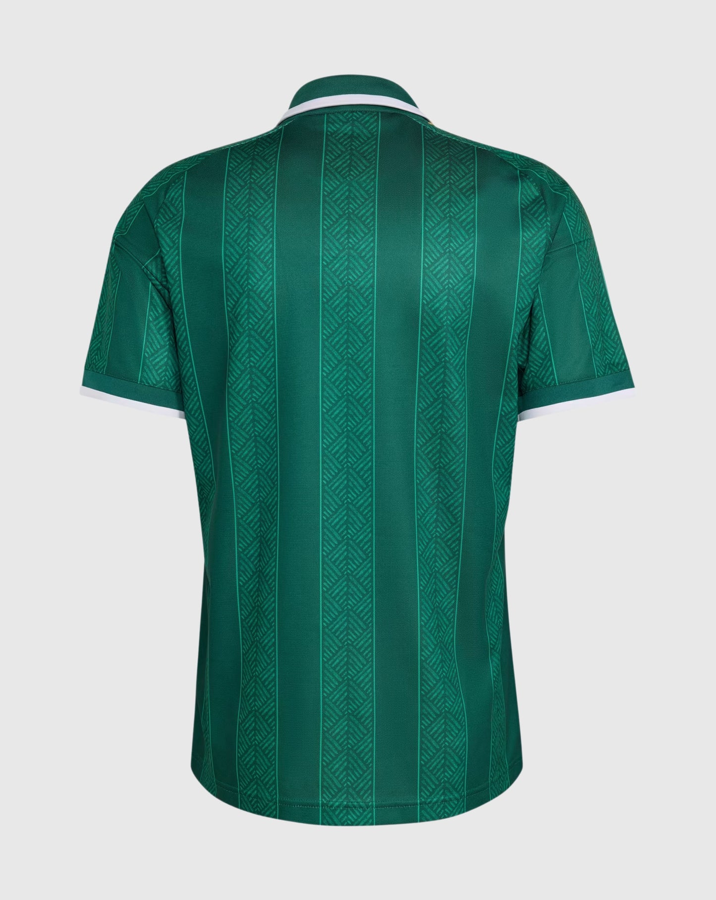 Playera Sudáfrica Visita 2026